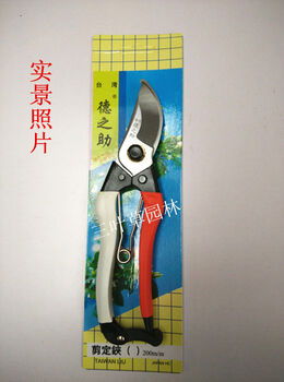 Suitable hand scissors p168b pruning scissors, fruit tree scissors, gardening scissors, pruning scissors, dezhisuke scissors come with a spring