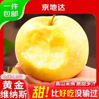 Jingdida shandong golden venus apple net weight 4.5 jin single fruit 80mm + fruit festival gifts directly from the source free shipping