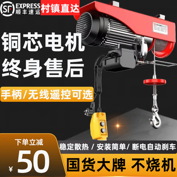 Dekbon micro electric hoist home small crane hoist winch lift wireless remote control crane 100-200kg/12m shipped by sf express wired handle control