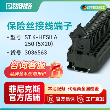 Phoenix fuse terminal block-st 4-hesila 250 (5x20)-3036563 50 pieces per pack