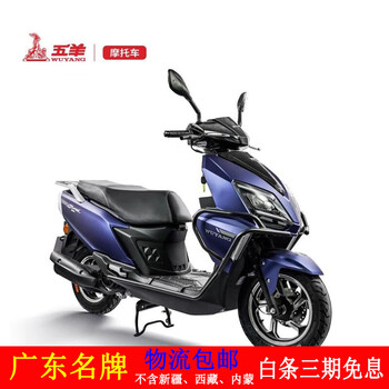 Wuyang (wuyang) wy110t-2a kaihang 2023 new fashion sports national iv efi internet celebrity car uy scooter blue