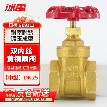 Bingyu by-3150 delivery today/next day water pipe switch valve double internal wire internal thread copper gate valve dn25 (medium size)