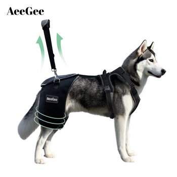 Aeegee pet dog hip and knee brace relieves pain and protects hip dysplasia l