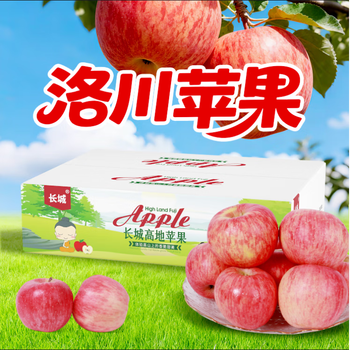 Fun to try great wall luochuan apple, net weight 5kg, single fruit 200g+, fruit no. 1 store, straight from the source