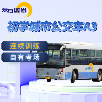 Oriental fashion driving school/city bus/a3 beginner city bus