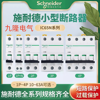 Schneider ic65n air switch circuit breaker a9 without leakage protector switch 1p+n2p3p4p16a20 1p 1a