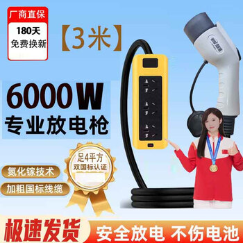 Bull new energy vehicle high-power discharge gun 6000w electric gun discharge plug universal electrical appliance 6000w 3 meters the car must have an external discharge