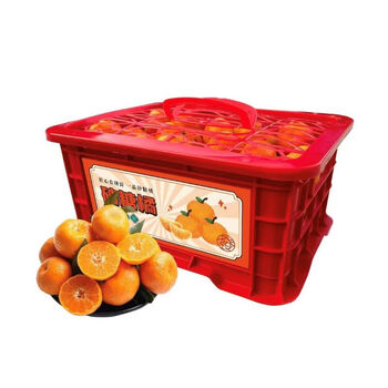 The whole basket of red guangxi sugar oranges on the tree 2kg single fruit 40mm