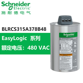 Schneider capacitor low voltage fan three-phase capacitor blrcs208a250b48 blrcs315a378b48