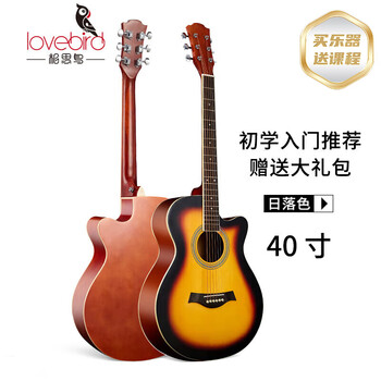 Lovebird guitar folk guitar 40 inch beginner beginner's entry guitar sunset color
