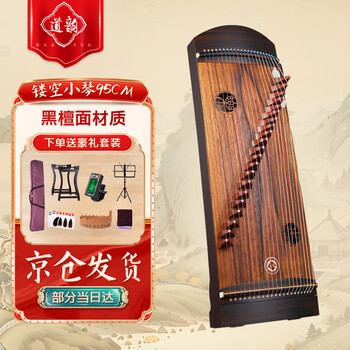 Daoyun xiaoguzheng hollow xiaoqin short zheng beginner professional examination level national plucked instrument