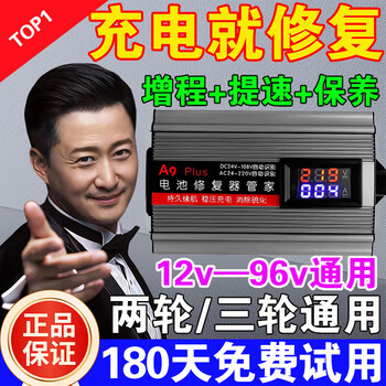 Aijia 2026 upgraded smart battery repair artifact universal pulse fully automatic extended battery repair artifact for two and three-wheel electric vehicles universal