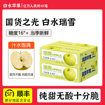 Xuzheng fruits and vegetables shaanxi baishui authentic ruixue apple seasonal fresh pure sweet green apple fruit 4.5 jin whole box gift box sf express net weight 4-4.5 jin extra large 5-6 pieces sf express