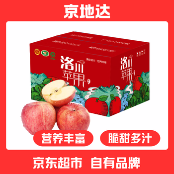 Jingdida shaanxi luochuan red fuji apple, net weight 8 pounds, single fruit 200g+, fresh fruit, gift giving, delivered directly from the source
