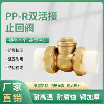 Teng tu double hot melt union check valve h14h-16t check valve specifications can be customized ppr20-4 points one price