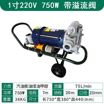 Hpb explosion-proof sliding vane pump 220v380v electric large flow oil pump gasoline diesel methanol self-priming oil pump 1 inch 220 volt 750w (4.5m/h) 0.75kw