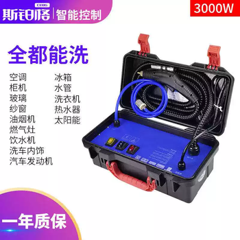Tkhe spurge home appliance cleaning machine 3000w professional version high temperature steam cleaner air conditioning range hood gas 3000w professional version