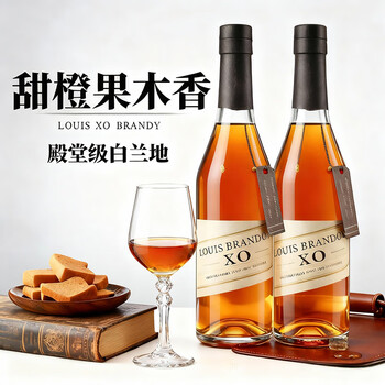 Louis brandon french xo brandy 40 degrees 700ml two bottles of original wine imported foreign wine spirits mixer self-drinking fragrant new year gift