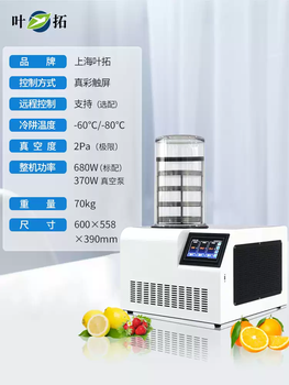 Yetuo shanghai yetuo ytlg-10a/12b freeze dryer food and fruit laboratory vacuum low temperature freeze dryer ytlg-12d-80-80