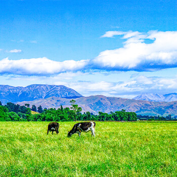 To recharge an international card, you need to contact customer service