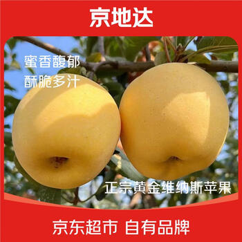Jingdida shandong golden venus apple net weight 8 jin single fruit 200g + direct shipping from source