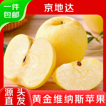 Jingdida yantai golden venus apple net weight 4 jin single fruit 80mm + fruit source direct shipping free shipping