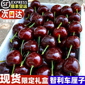 Big mouth seven eight chile imported spot cherry black car santina large cherry fresh fruit cherry fresh gift box sf express 900g (net weight) boutique gift box with box 2 catties 3j 30mm (inclusive)-32mm (inclusive)