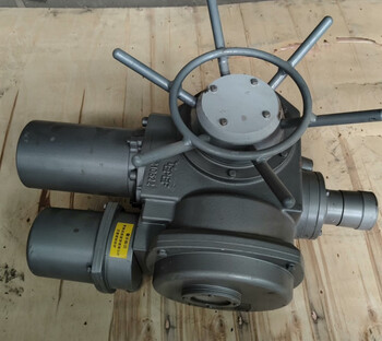 Donqi dzw30-24-a00-dsi-ztd10 electric actuator yang xiu