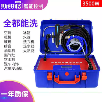 Tkhe spurge home appliance cleaning machine 3000w professional version high temperature steam cleaner air conditioning range hood gas 3500w portable set