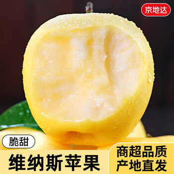 Jingdida shandong golden venus apple, net weight 8.5 catties, single fruit 190g, fresh crisp apples shipped directly from the source with free shipping