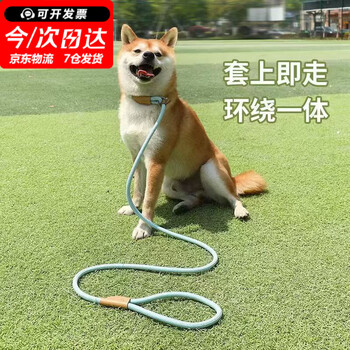 Zhewei dog rope explosion-proof p chain dog walking leash anti-breakaway dog chain medium and large dog explosion-proof dog leash event-grade explosion-proof okinawa length 1.8 meters * diameter 6mm cyan