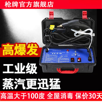 Gun brand high temperature and high pressure steam cleaner home appliances air conditioner range hood pulse cleaning floor heating water pipe commercial 3500w home appliances flagship model
