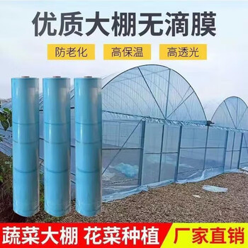Nongdage greenhouse plastic film non-drip film greenhouse film plastic film plastic film thickened transparent longevity agricultural vegetable film 14s national standard anti-aging blue non-drip film 3 meters wide / 10 meters long 30 square meters