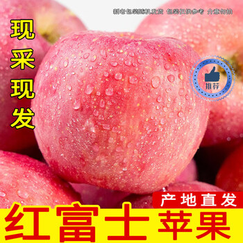 Xianhehuiyou shaanxi fuji apple fresh fruit, net weight 4 jin/single fruit 85g+