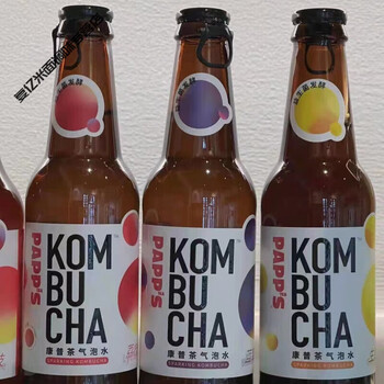 Shifangyi kombucha papps ginger blueberry kombucha probiotic sparkling drink blueberry flavor*24 bottles (full box)