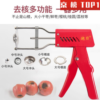 Igiftfire hawthorn corer artifact hawthorn corer stainless steel tool new candied haws production to remove seeds and red dates hawthorn corer + full set of molds