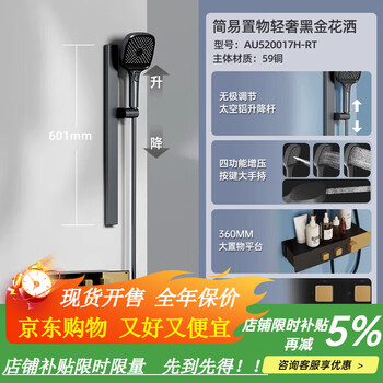 R&t simple rain shower set without roof spray storage table home bath bath combination k20mini k20mini simple storage gun gold