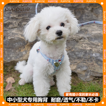 Puppytie dog leash harness for small and medium-sized puppies 3 pounds, ultra-small teddy corgi vest, striped love dog leash, cream blue - harness + leash xs code - recommended 4-10 pounds