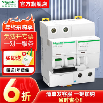 Schneider leakage protection switch ic65 2p-4p 10a50a20a63a household main circuit breaker ic65n 2p c40a+vigi 30ma