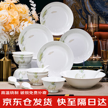 Yichen jingdezhen bowl and dish set ceramic bowl and dish tableware complete set of household rice bowls and chopsticks in the spirit of spring for housewarming gifts