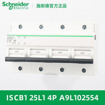 Schneider wangao 1/2 15/20/25/40/65/80/100/120h12 surge backup protector iscb1_25l1_4p_a9l102554