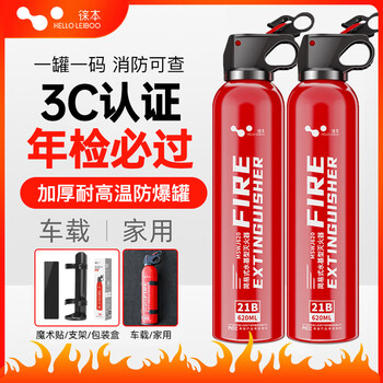 Helloleiboo vehicle-mounted water-based fire extinguisher high-performance 21b private car portable fixed annual inspection fire-fighting equipment