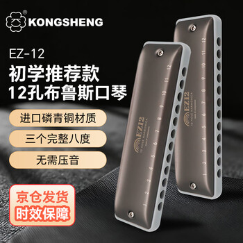 Kongsheng (kongsheng) 12-hole c-key diatonic blues harmonica for beginners, children, adults, professional performance grade ez-12 silver