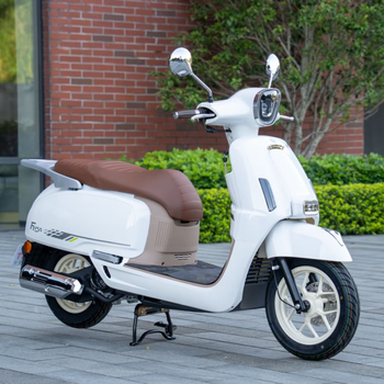 Flying eagle 25/26 brand new flying eagle f150 scooter fuel-powered commuter national iv efi can be registered 26 f150 supreme edition abs+tcs+tft+navigation screen pearl white