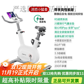 You mei spinning bike home intelligent ultra-quiet indoor bike fitness home sports equipment high-performance version - installation included - rs quick burn - whole