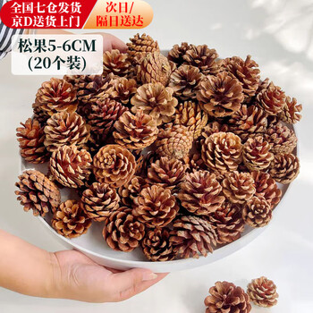Jingxiang christmas pine cone pine cone decoration diy material decoration kindergarten environmental creation accessories small dried flowers handmade branches large balls natural pine cones large size 5-6cm 20 pcs
