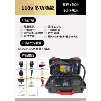 Zhong zhanggui 110v taiwan steam cleaning machine, high temperature and high pressure steam water gun, electromechanical water heater cleaning machine, cost-effective model, washable water heater