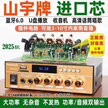 Shanyu's new 220v high-power amplifier bluetooth 6.0 home hifi lossless 12v plug-in card u disk radio small power amplifier new shanyu genuine sv1200 amplifier