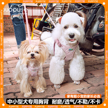 Dog leash, small dog leash, dog leash, vest style, teddy corgi pet harness, dog harness, sakura pink - harness + traction rope xxs - mini size recommended 1-6 catties