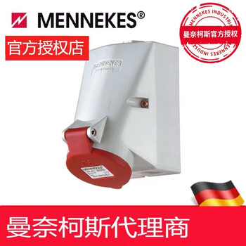 Mannex socket plug 278 300 288 3258 3247 11031 10754 3245 320 209a